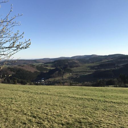 Bergchalet La Roubine Willingen Neerdar Ngoại thất bức ảnh