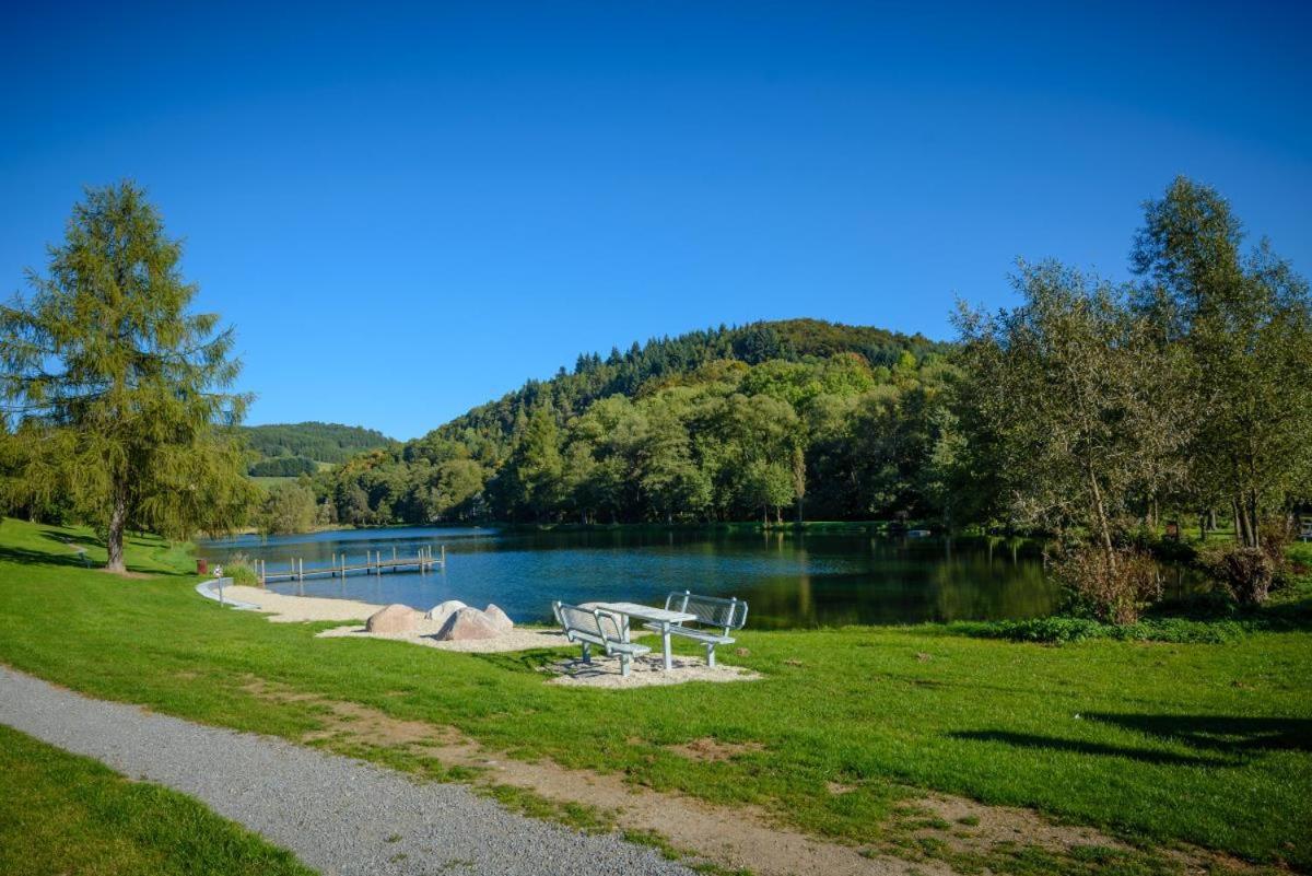 Bergchalet La Roubine Willingen Neerdar Ngoại thất bức ảnh