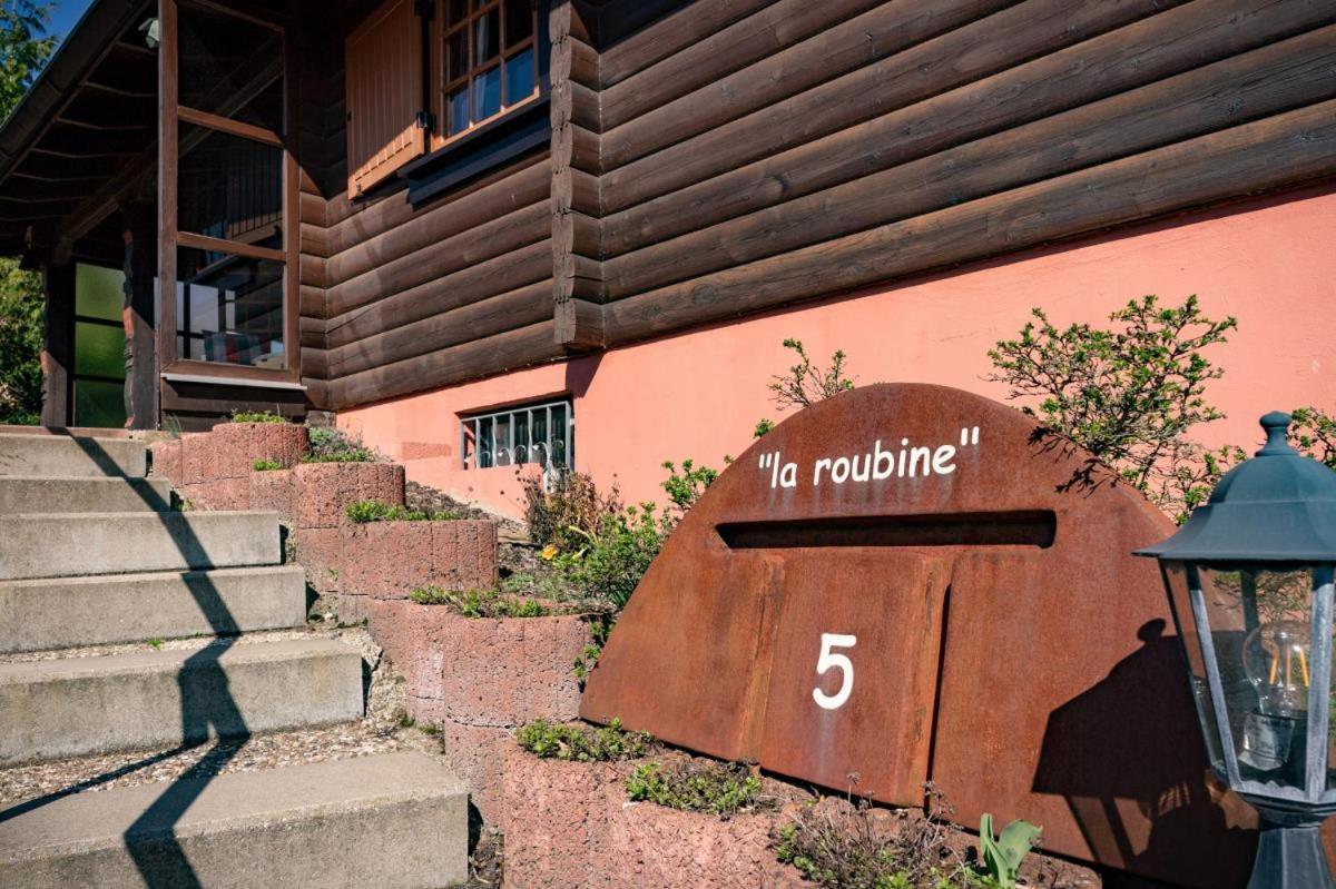 Bergchalet La Roubine Willingen Neerdar Ngoại thất bức ảnh
