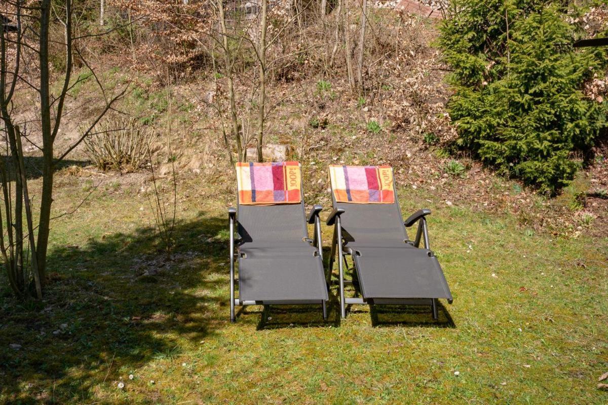 Bergchalet La Roubine Willingen Neerdar Ngoại thất bức ảnh