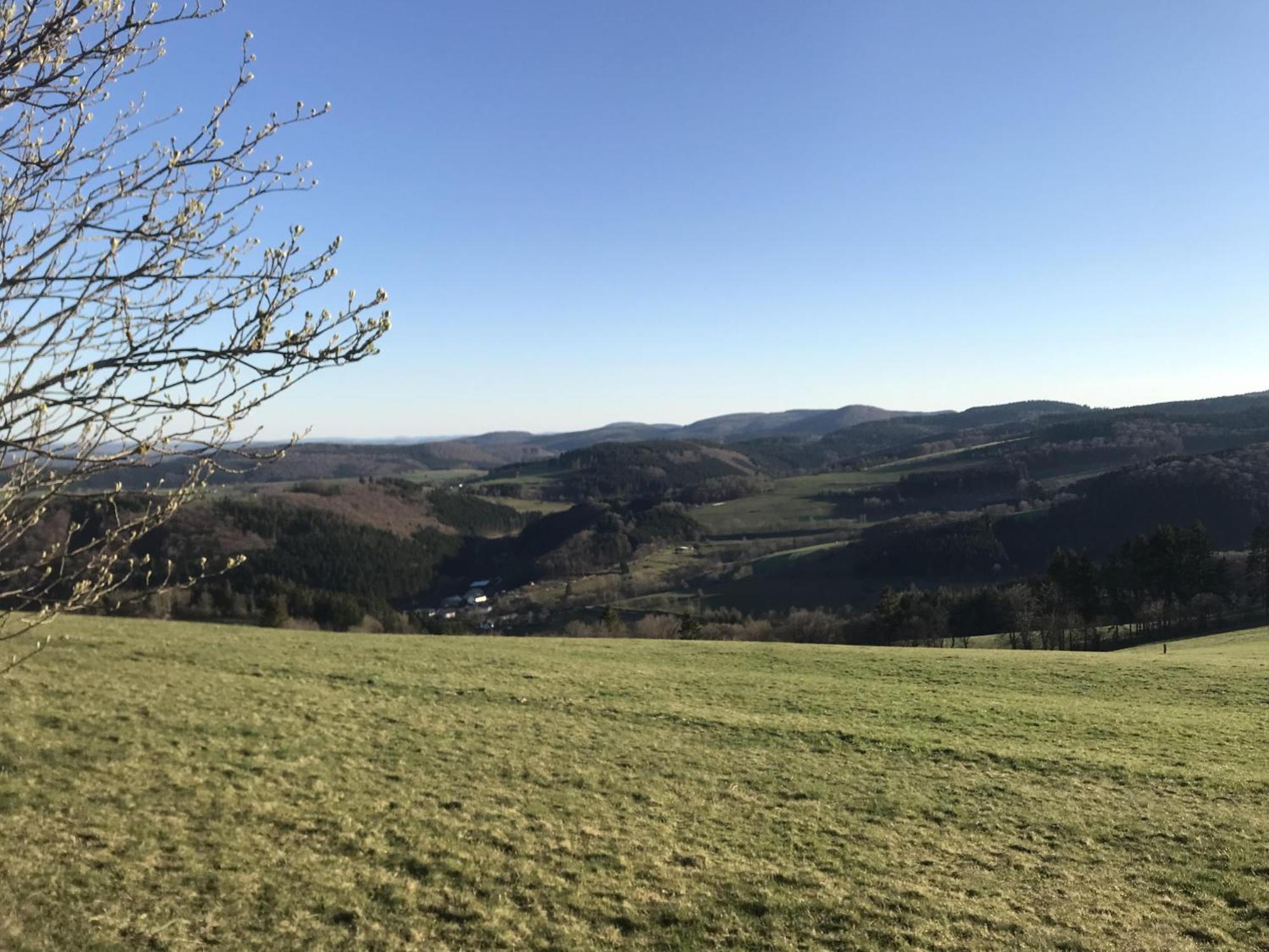 Bergchalet La Roubine Willingen Neerdar Ngoại thất bức ảnh